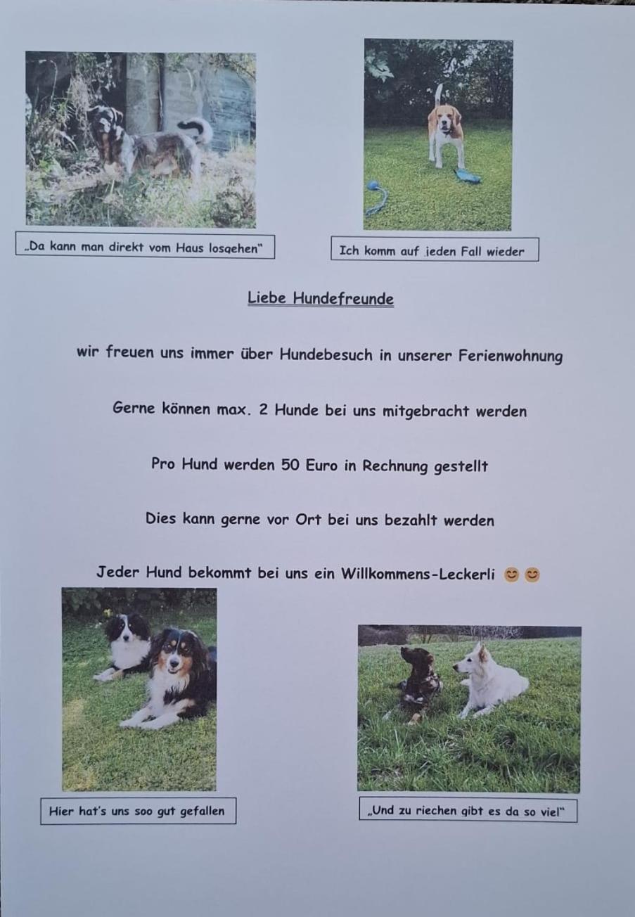 Ferienwohnung Abendrot Assling Zewnętrze zdjęcie